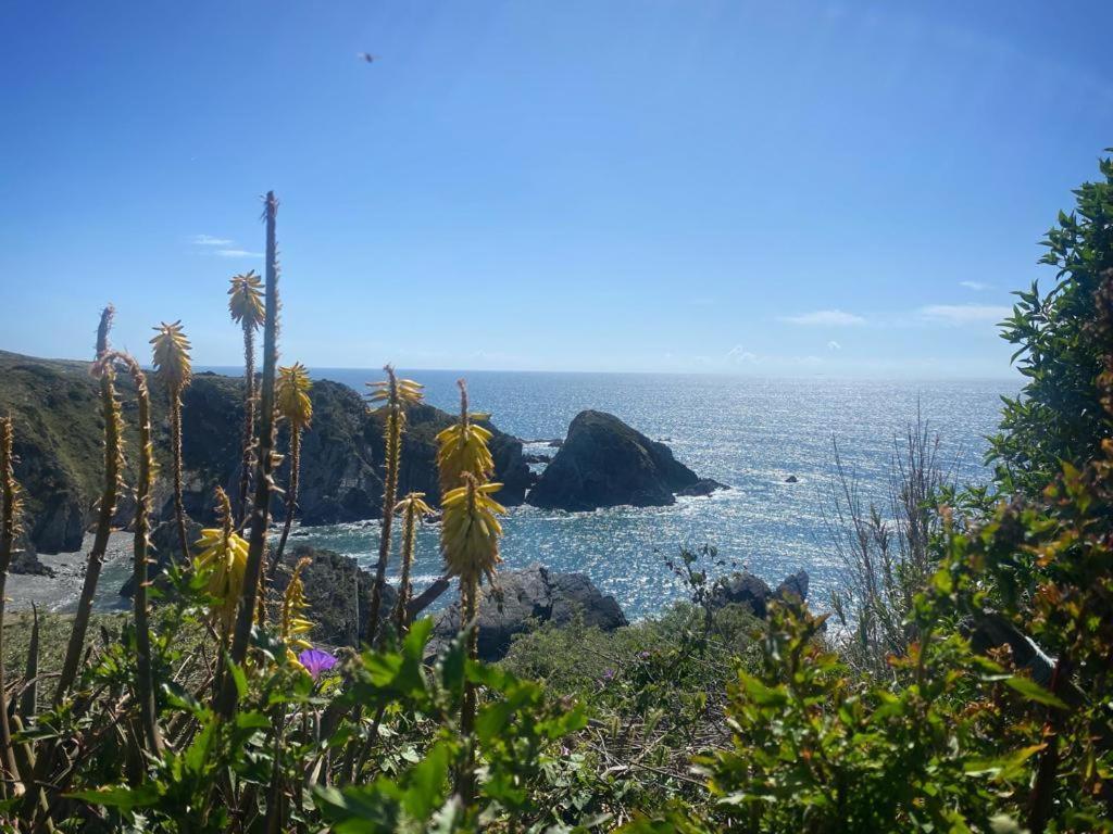 Casa Do Brejao Campo E Praia Odemira Exteriör bild