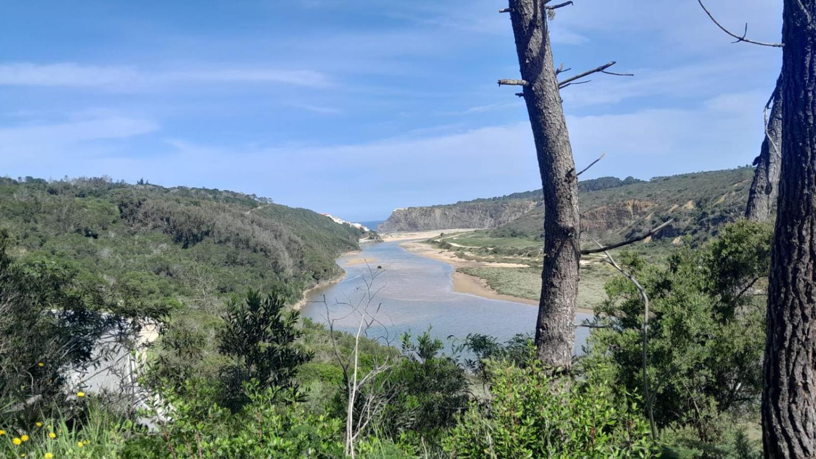 Casa Do Brejao Campo E Praia Odemira Exteriör bild